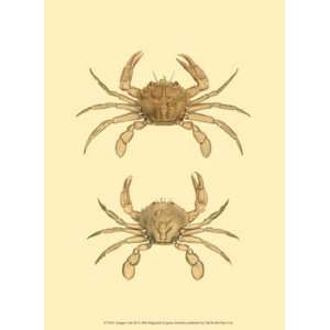  Antique Crab III by James Sowerby 10x13