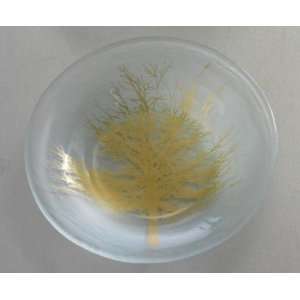 Nature Series Tree 6 round bowl Handmade glass 6 round bowl  Tree 