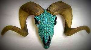 Nevada Turquoise Inlaid Dall Sheep Skull Wall Mount, Approx. 21 X 11 