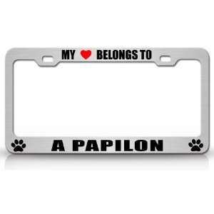 MY HEART BELONGS TO A PAPILON Dog Pet Steel Metal Auto License Plate 