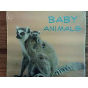  2011 Baby Animals Wall Calendars
