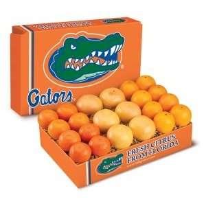 University of Florida Citrus Gift Box Orange  Grocery 