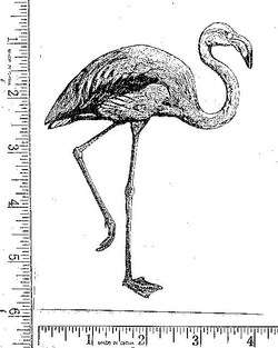 Giant FLAMINGO Think pink UNMounted rubber stamp  