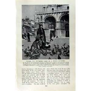   c1920 PIAZZA S. MARKS CATHEDRAL PIGEONS ITALY VENICE