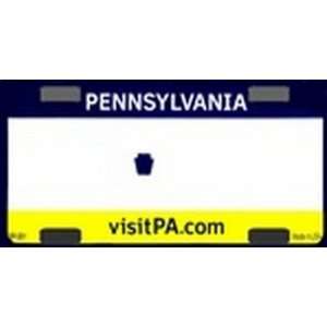  BP 081 Pennsylvania State Background Blanks FLAT   Bicycle License 