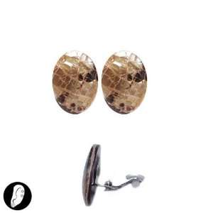    sg paris women earrings clip earring brown shell shell Jewelry