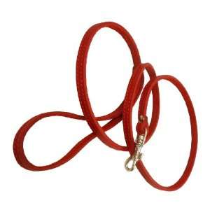   Dog Leash Red 3/8 Wide For Small Breeds and Puppies
