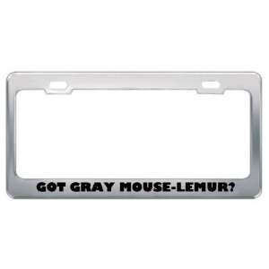 Got Gray Mouse Lemur? Animals Pets Metal License Plate Frame Holder 