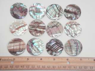 ABALONE SHELL UNDRILLED DISC COIN 35MM 12 PCS #T 167  