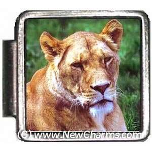  Lion Italian Charm Bracelet Jewelry Link A10024 Jewelry