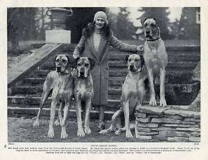 Great Dane Charming Lady And Dog Group Original Vintage Print 1934 