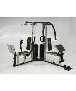 Golds Gym XR 66 Weight System  