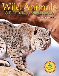 Wild Animals of North America  