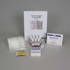 Active Transport in Yeast Kit  Industrial & Scientific