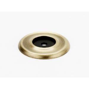  Alno A615 45 AE Traditional Recessed Cabinet Backplate 