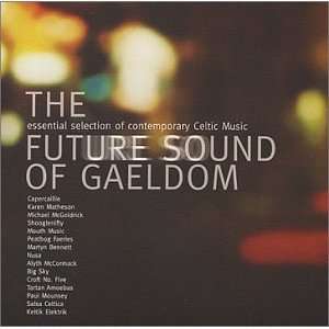  Future Sound of Gaeldom Various Artists Music