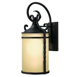   Outdoor Wall Sconce Lighting, 100 Total Watts, Black