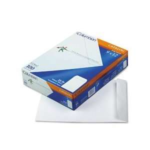   All Purpose Lightweight Catalog Envelopes 