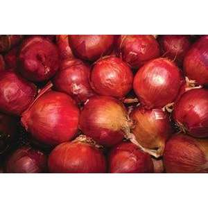  Vintage Art Red Onions   19641 6