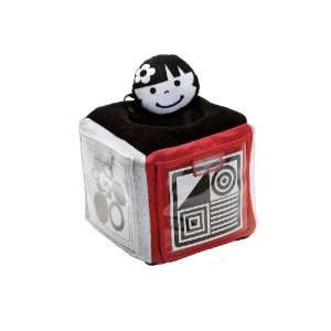  PEEK A BOO PHOTO CUBE by Discovery Toys Toys & Games