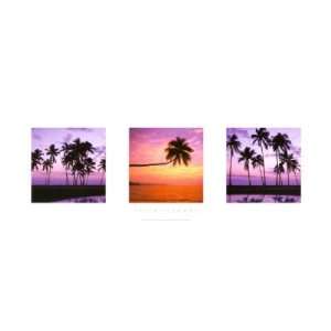   Nature Poster (3 Tropical Islands) (Size 36 x 12)
