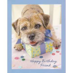    Greeting Card Birthday Happy Birthday Friend