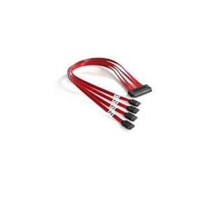  SAS SFF8484 to 4x SATA Cable, Red, 0.5m Electronics
