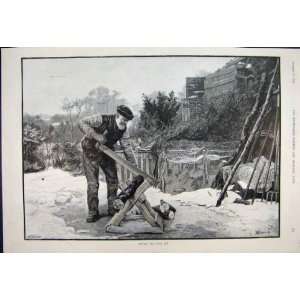 1895 Cutting Yule Log Man Sawing Snow Old Print 