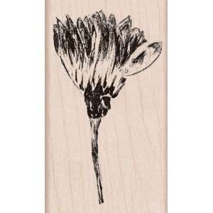  Wood Mounted Rubber Stamp Paint A Flower Electronics