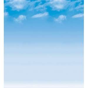   Fadeless 48X50 Wispy Clouds Roll By Pacon Corporation Toys & Games