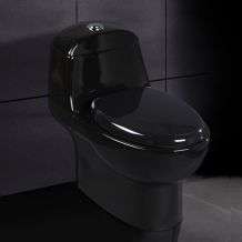 Ariel Bianca Dual Flush Toilet  