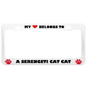  A Serengeti Cat Cat Pet White Metal License Plate Frame 