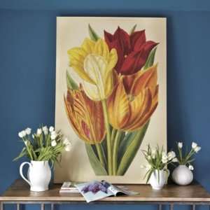  Array Of Tulips Giclee  Ballard Designs