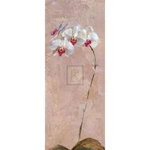  Contemporary Orchid II by Dennis Carney 8x20 Kitchen 