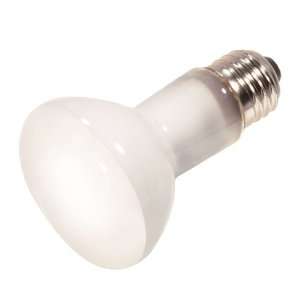  45 Watt R20 small flood Light Bulb