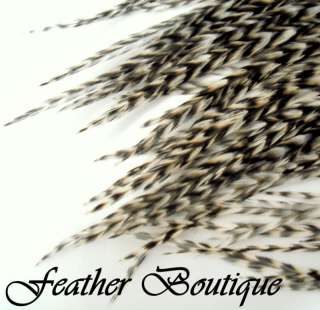 Salon Grade Grizzly Feather Hair Extensions w/beads  