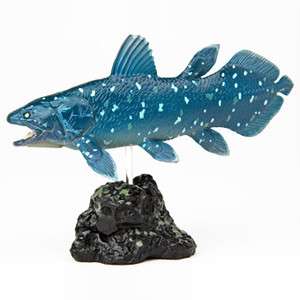   Yujin Colorata Fossil Fish Coelacanth Figure Model Rare  