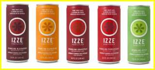 24x IZZE Fortified Sparkling Juice 8.4oz cans  