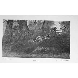 Hare Coursing Hunting Sport Hounds Dogs Country 1897