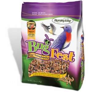    Morning Song #2022459 5LB Bug Fest Bird Food
