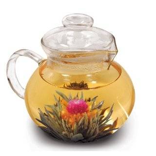 Primula Glass Stovetop Tea Pot with Infuser