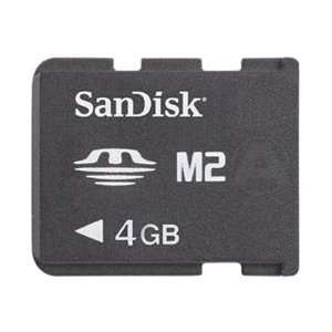  4GB MemoryStick Micro