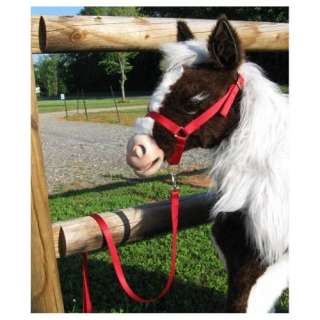 Butterscotch Smores Furreal Horse Halter & lead   Red  