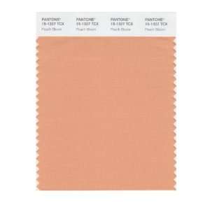  PANTONE SMART 15 1327X Color Swatch Card, Peach Bloom 