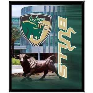  South Florida Bulls USF NCAA Basketball 8 X 10 Framed Logo 
