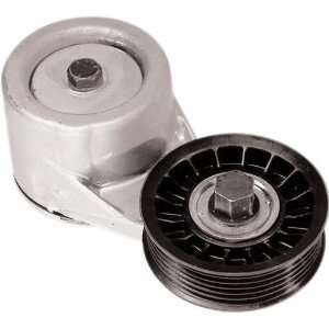  Goodyear 49206 Gatorback Tensioner Automotive