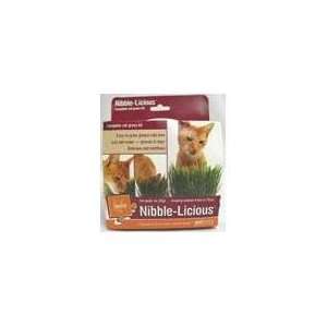  Best Quality Nibble Licious Kit / Size By Worldwise, Inc 