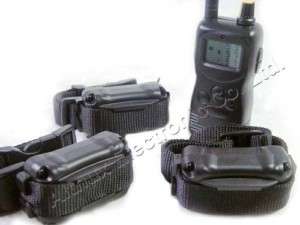 Radio Remote Electronic Shock Collar For Training 3 Dog  
