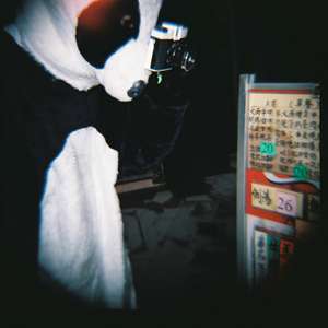 Lomography Diana F+ Kamera Hong Meow  Kamera & Foto