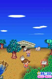 Animal Crossing   Wild World  Games